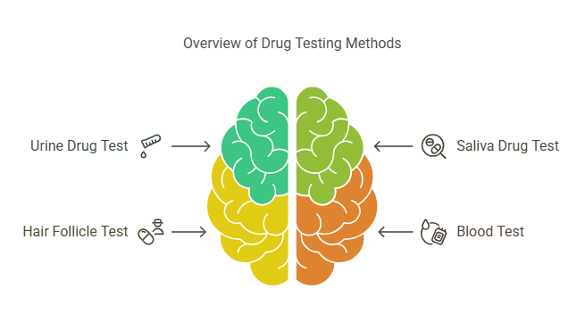 Types of Drug Tests in National Drug Screening
