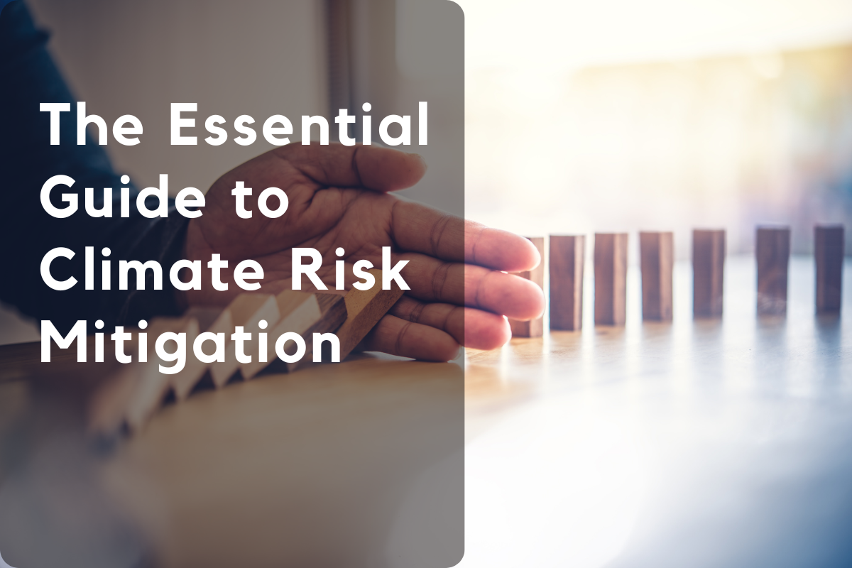 The Essential Guide to Climate Risk Mitigation