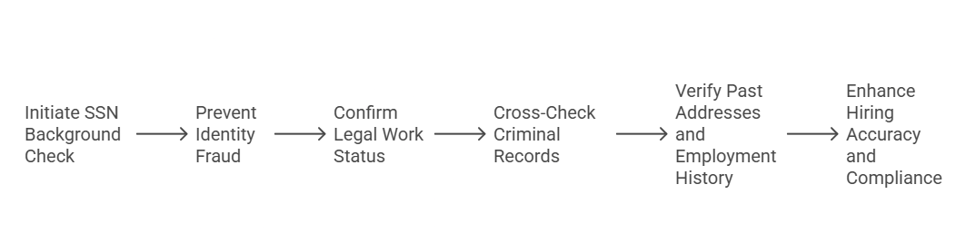 Why Are SSN Searches Crucial